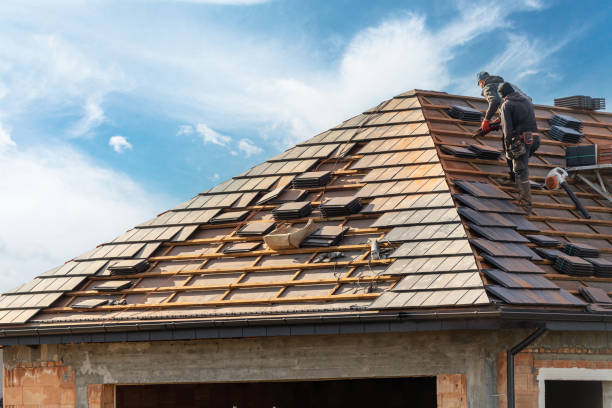 Best Roof Ventilation Installation  in Harrisonburg, VA