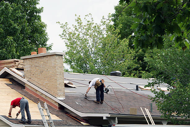 Reliable Harrisonburg, VA  Roofing repair and installation Solutions